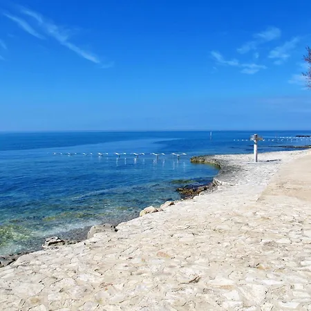 Apartment Joze Mit Balkon By Interhome Novigrad (Istria)