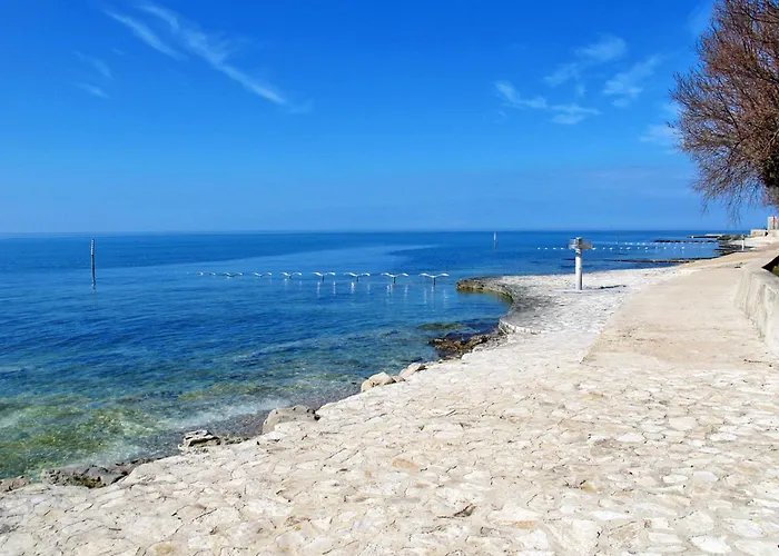 Apartment Joze Mit Balkon By Interhome Novigrad (Istria)